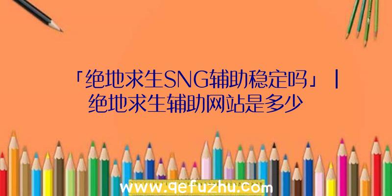 「绝地求生SNG辅助稳定吗」|绝地求生辅助网站是多少